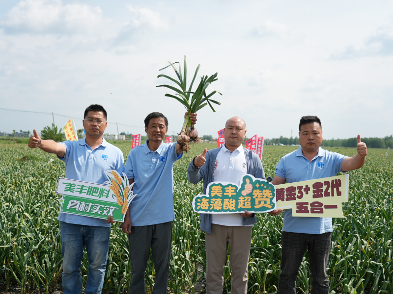 夏攻行動：四川美豐護航夏糧豐產豐收