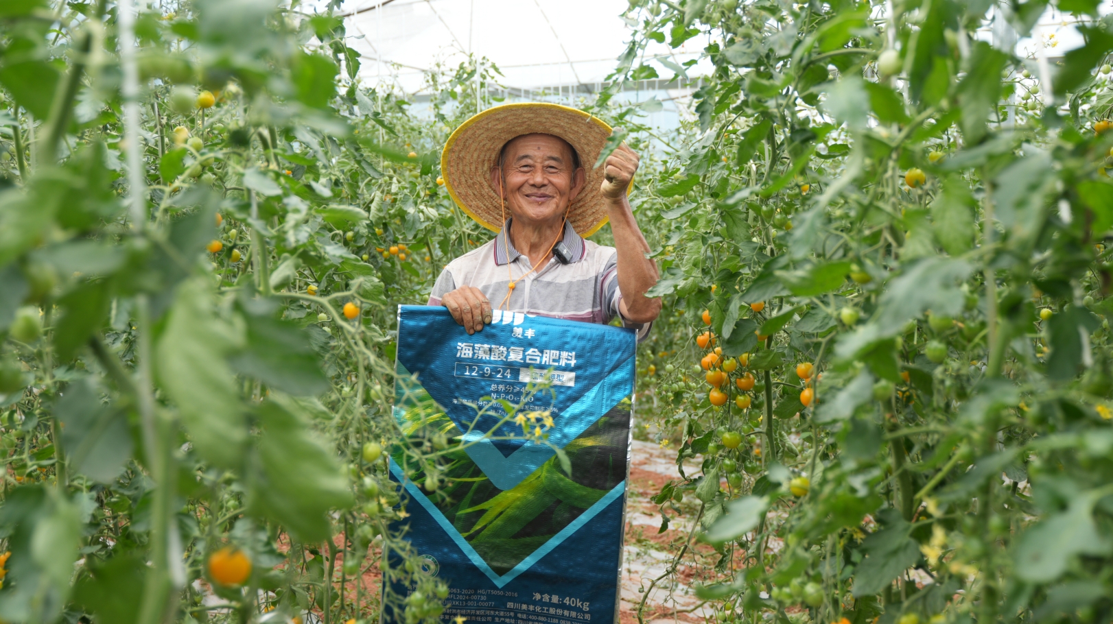 夏攻行動(dòng)：“三夏”時(shí)節(jié)精準(zhǔn)發(fā)力助豐收