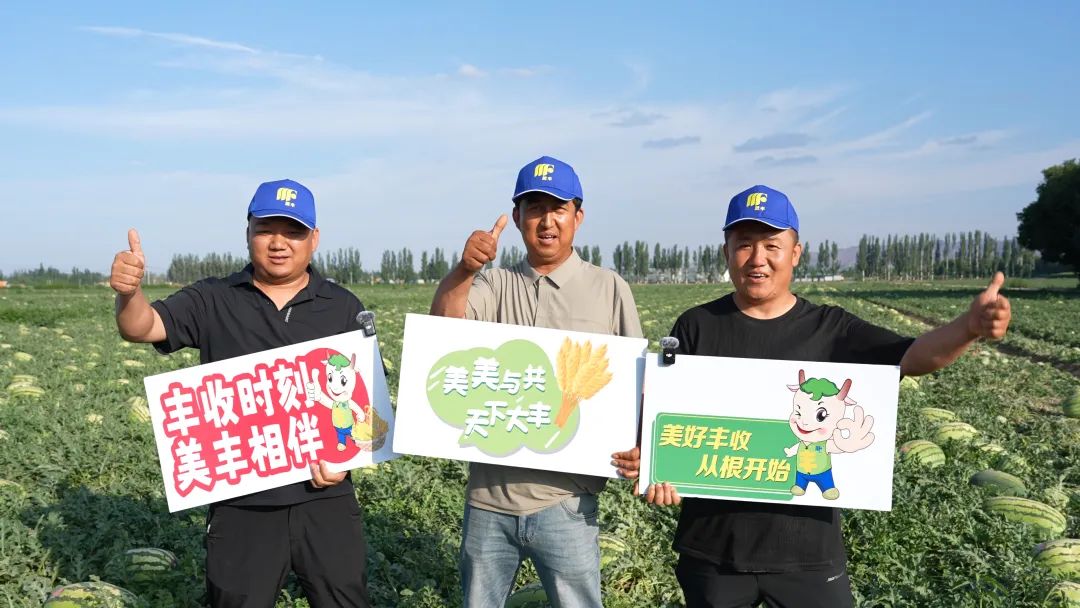 美豐肥助力硒砂瓜畝產(chǎn)過萬斤